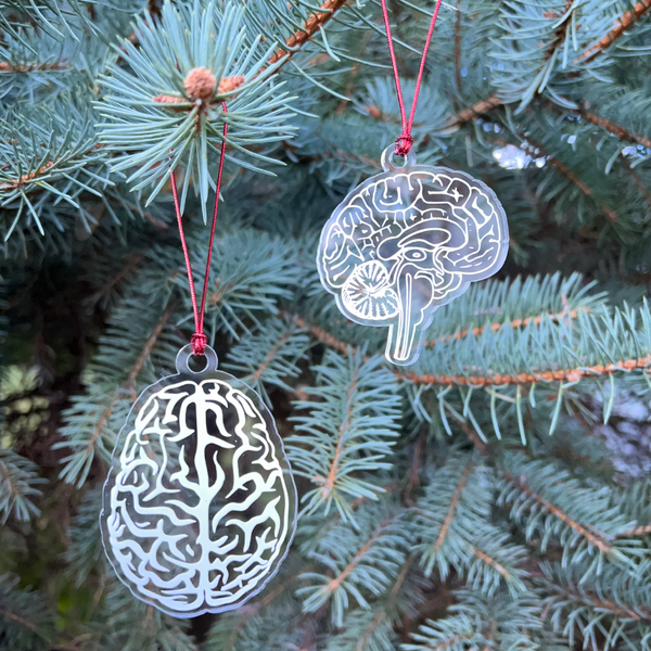 Erlenmeyer Flask Ornament - Fun Science Christmas Tree Ornaments for S -  The Lab Partners Jewelry