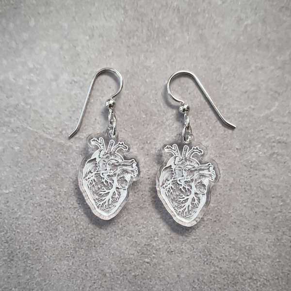 Heart Earrings - Anatomical Human Heart Earrings - Great Gift for
