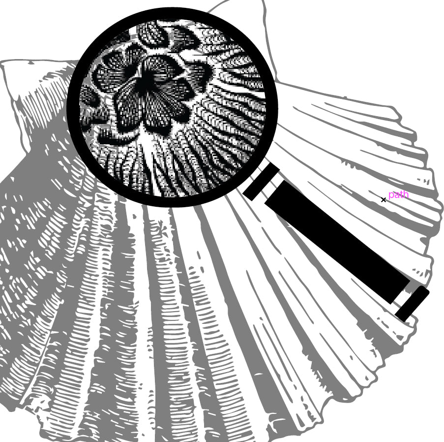 Mollusk - Flower Info Card