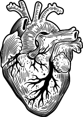 Hearts and Minds Information Card