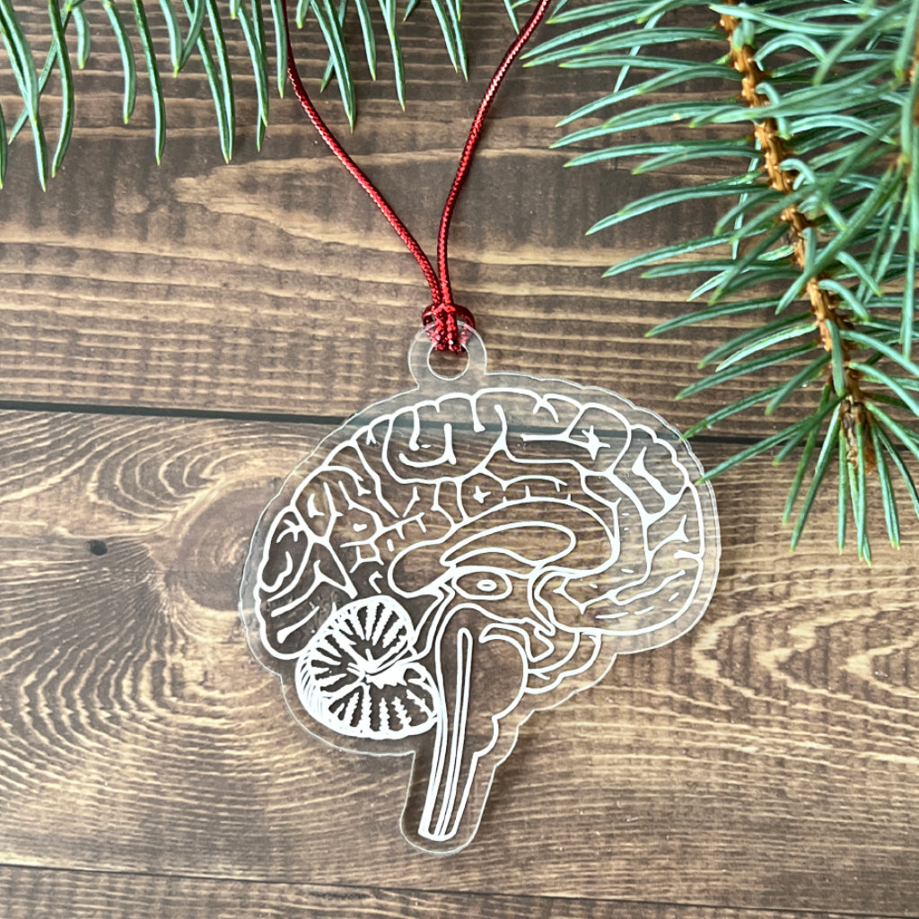 Human Brain Christmas Tree Ornament- Anatomical Human Brain (Side) for Doctors, Nurses,Techs, Students of Neurology and Psychology