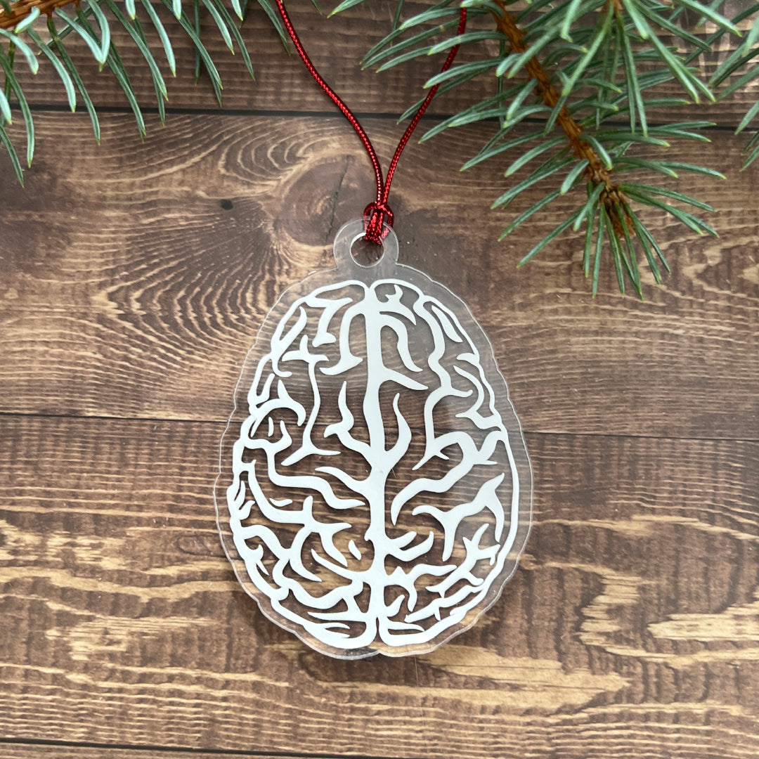 Human Brain Christmas Tree Ornament- Anatomical Human Brain (Top) for Doctors, Nurses,Techs, Students of Neurology and Psychology