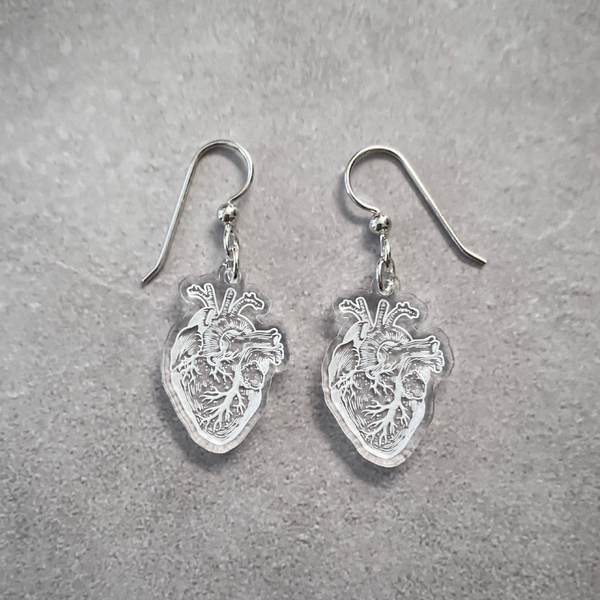 Anatomical Human Heart Earrings - Great Gift for Doctors, Nurses